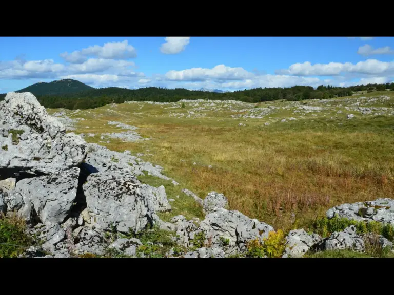 In daily devotional, a field is seen with stones throughout the landscape and a blue sky with clouds background.