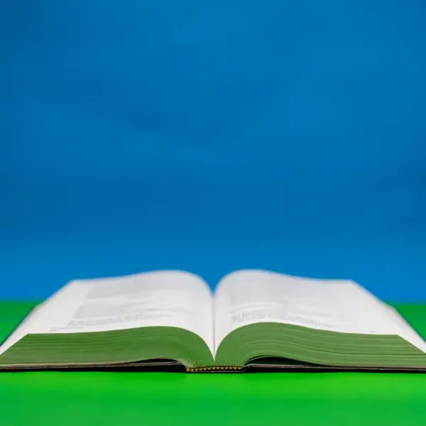 In daily devotional, an open Bible in seen with a colorful background of blue and green.