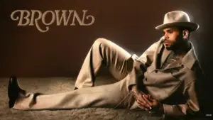 Artwork for Chris Brown's latest album, Brown.