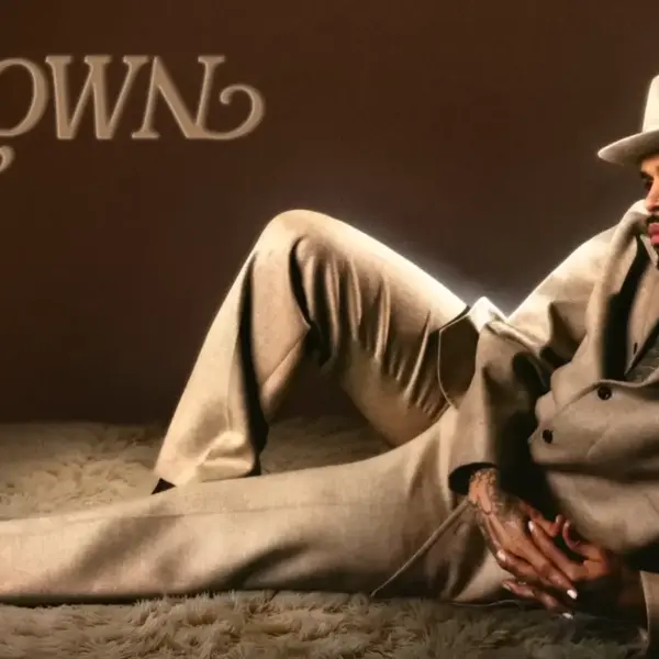 Artwork for Chris Brown's latest album, Brown.