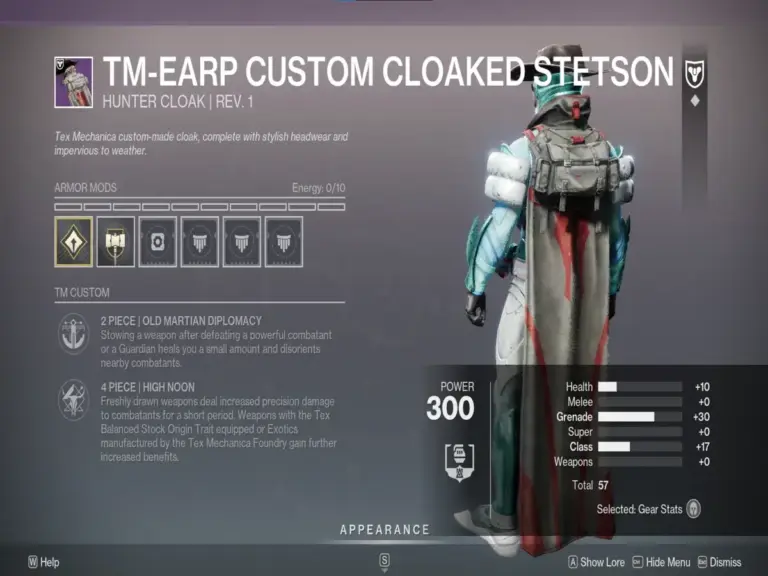 The TM-EARP Custom Armor Set in Destiny 2