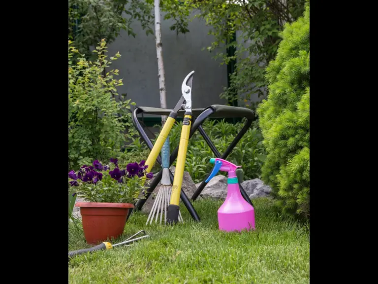 Clean tools ready for spring gardening