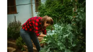 A woman in a red plaid shirt tends to plants in her backyard garden, fully embracing the calm, hands‑on rhythm of suburban homesteading.