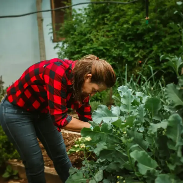 A woman in a red plaid shirt tends to plants in her backyard garden, fully embracing the calm, hands‑on rhythm of suburban homesteading.