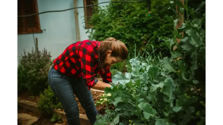 A woman in a red plaid shirt tends to plants in her backyard garden, fully embracing the calm, hands‑on rhythm of suburban homesteading.