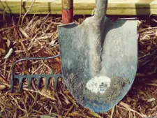 6 Easy Ways to Clean Garden Tools to Help them Last Longer