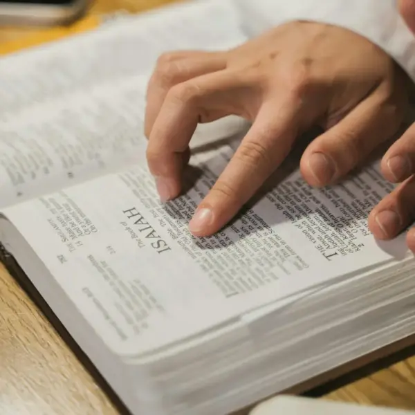 Daily Devotional Wednesday Wisdom | June 3, 2026