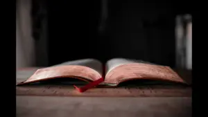 In daily devotional, an open bible is shown in a dark background.