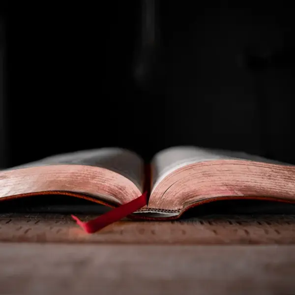 In daily devotional, an open bible is shown in a dark background.