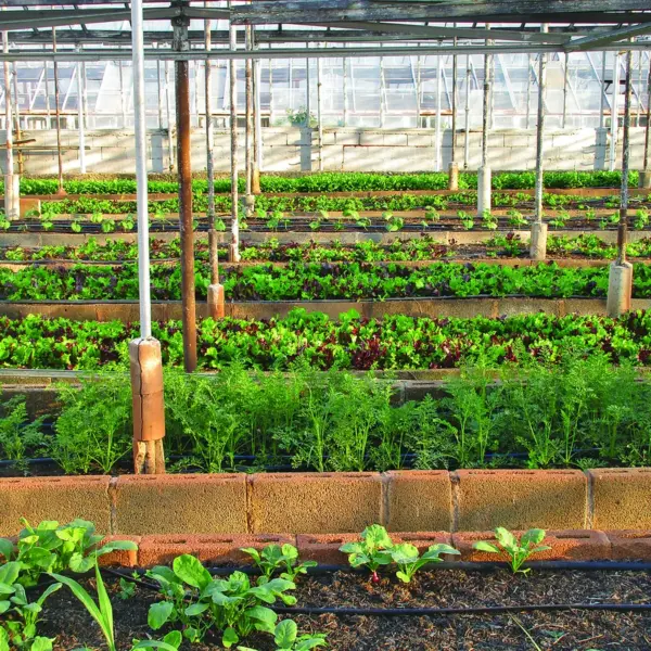Sideview Greenhouse