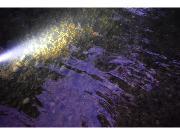 Unusual nature scene with purple reflections shimmering across a rocky stream under a beam of light
