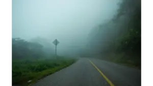 a haunting vibe of summer mysteries begin on a curved rural road wrapped in dense fog, swallowing the forest in a quiet, unsettling haze.