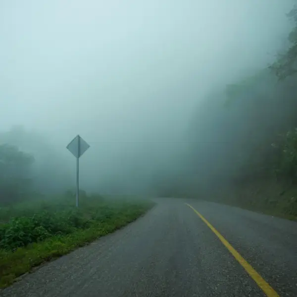 a haunting vibe of summer mysteries begin on a curved rural road wrapped in dense fog, swallowing the forest in a quiet, unsettling haze.