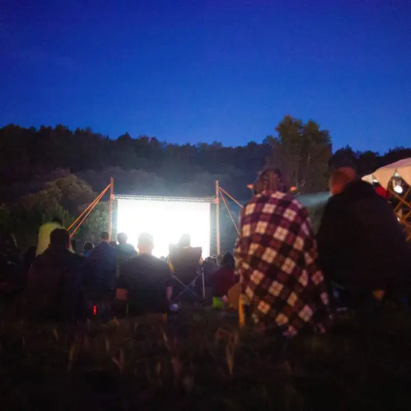 Adults gather outdoors for a night backyard movie screening under the stars