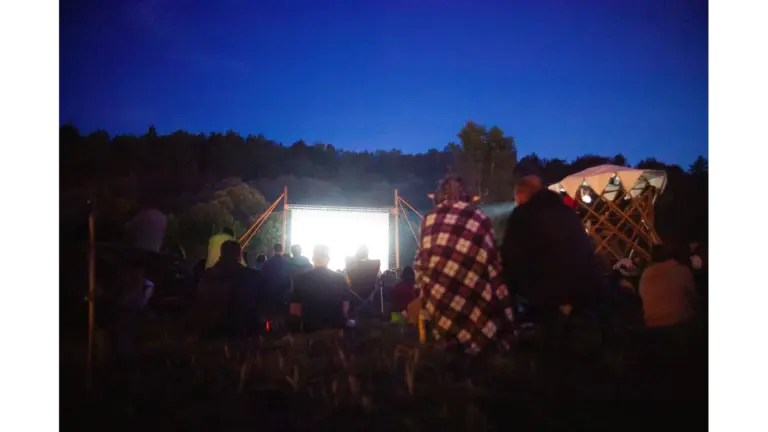 Adults gather outdoors for a night backyard movie screening under the stars