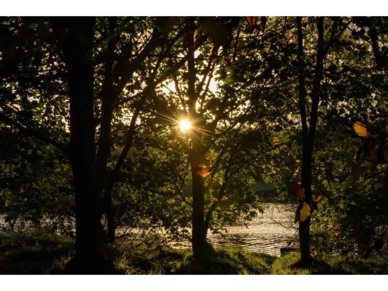 Sun shining through trees by a serene lake in Tullygally, Northern Ireland, creating a quiet, eerie glow that hints at hidden summer mysteries.