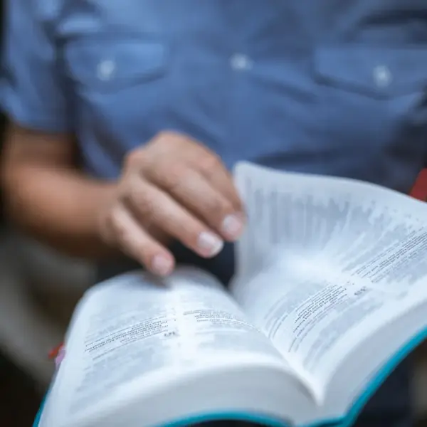 In daily devotional, a person reads/studies the Bible.