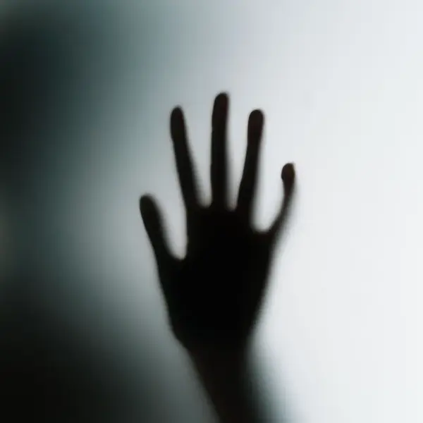 Silhouette of a hand against frosted glass, a quick hit of horror origins in one chilling frame.