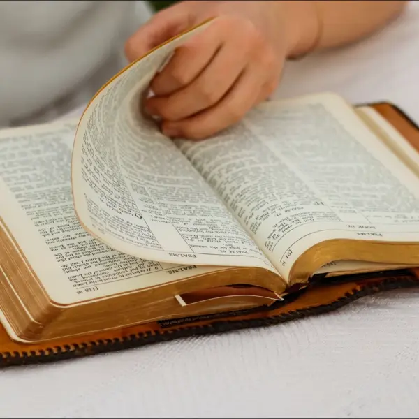 In daily devotional, a person reads the Bible as they turn the page.
