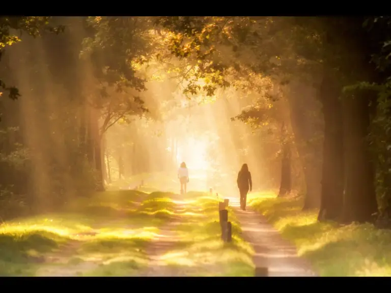 In Wednesday's daily devotional, a person walks alone on a lighted path with radiant sunlight.
