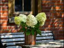 A bouquet of white hydrangeas in a copper vase, used to illustrate the death of Fiona Lowe