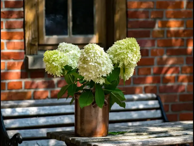 A bouquet of white hydrangea flowers in a copper vase on a wooden table, with a brick wall and window in the background.