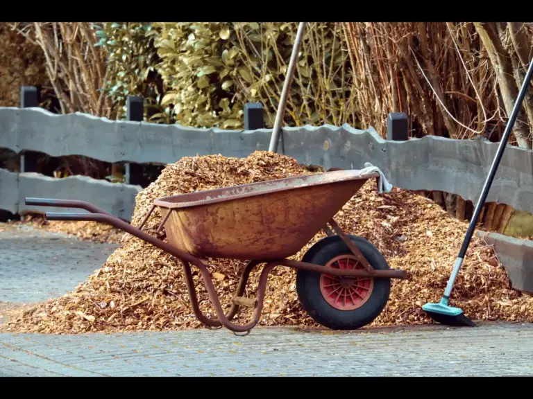 A wheelbarrow next to a pile of mulch with a rake leaning against a fence in a garden setting.