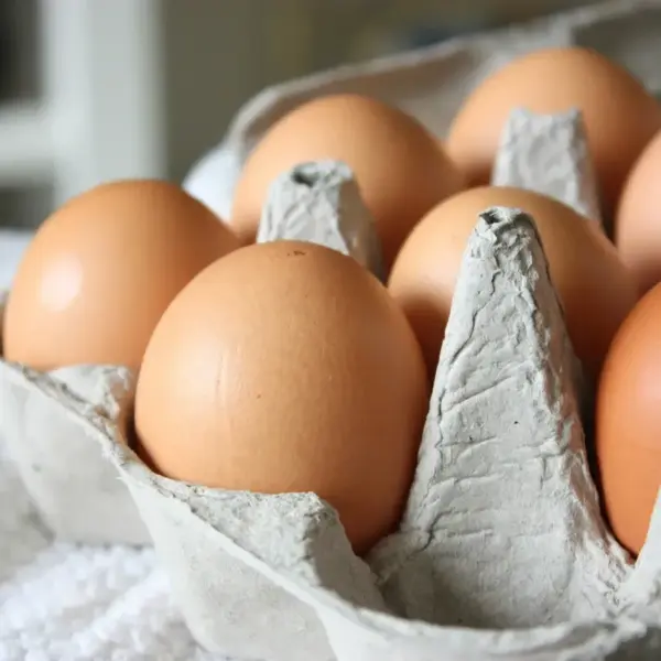 A carton containing eight brown eggs. Breakfast