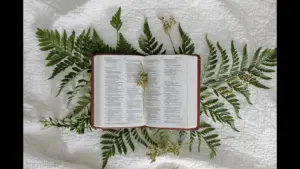 In Tuesday's daily devotional, an open Bible sits atop palm leaves.