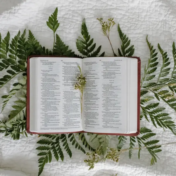 In Tuesday's daily devotional, an open Bible sits atop palm leaves.