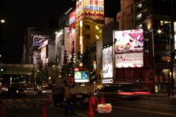 Anime billboards line a street in Tokyo’s Akihabara district, where fans await the Nia Liston anime