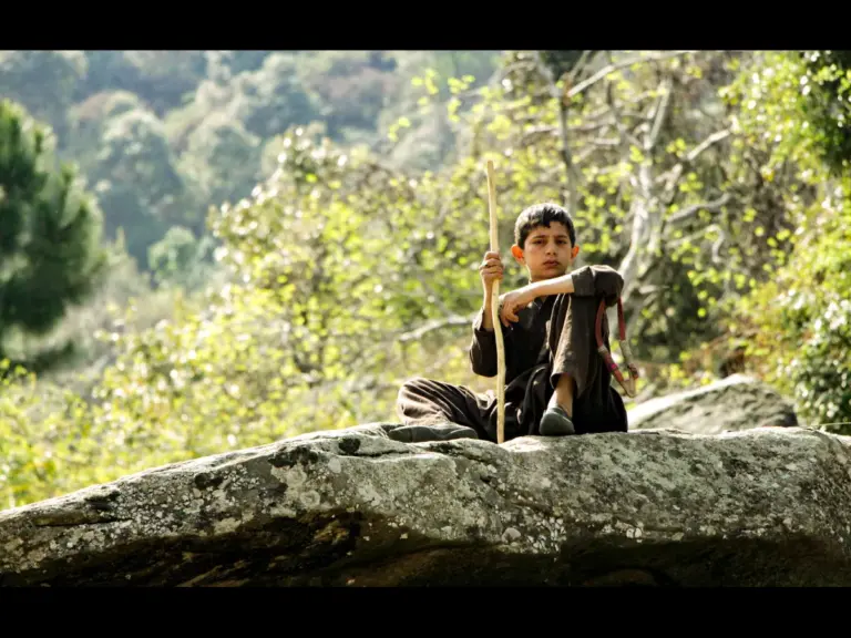 In Tuesday's daily devotional, a young shepherd boy watches over the flock as he sits atop a rock with his staff in hand.
