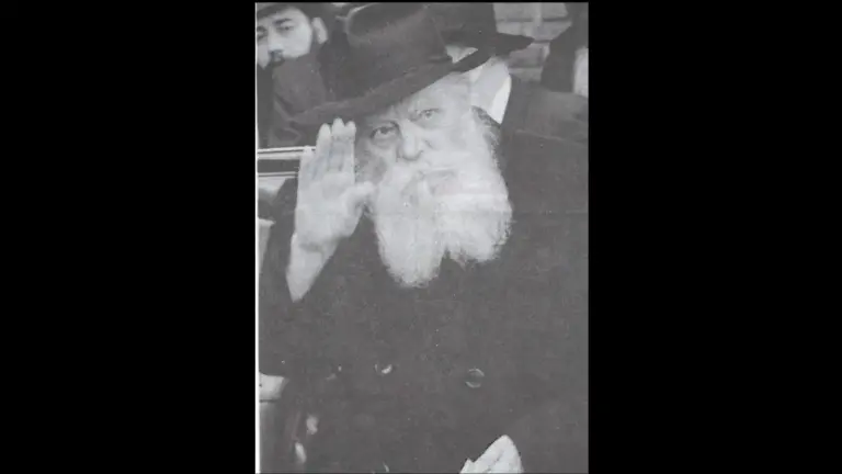 Rabbi Menachem Mendel Schneerson, The Rebbe