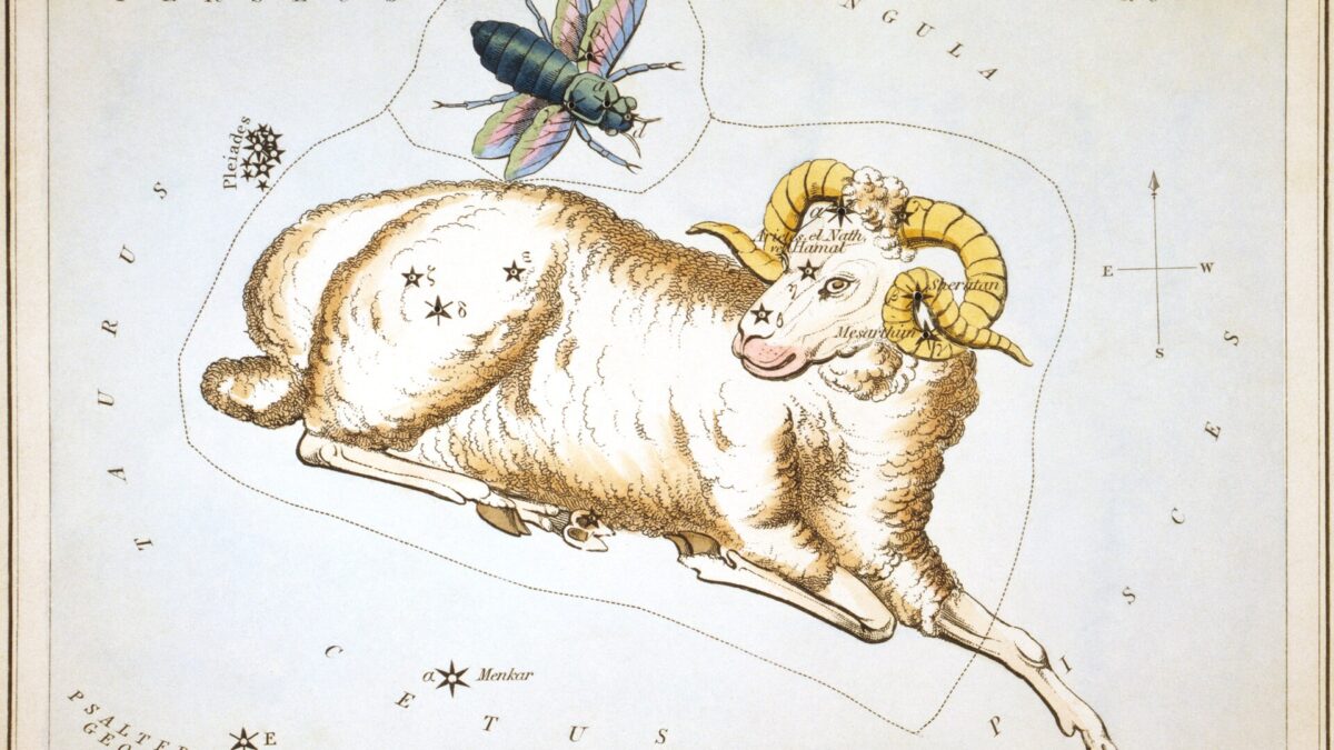 Aries horoscope