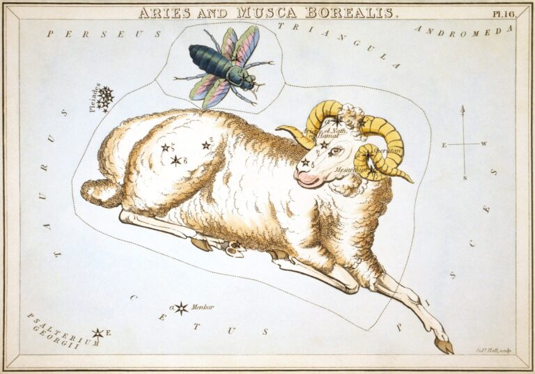 Aries horoscope