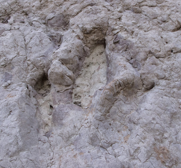Concrete Turned to Sand film