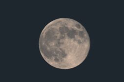 Moon in the night sky, a stand-in image for the Hollow Moon movie