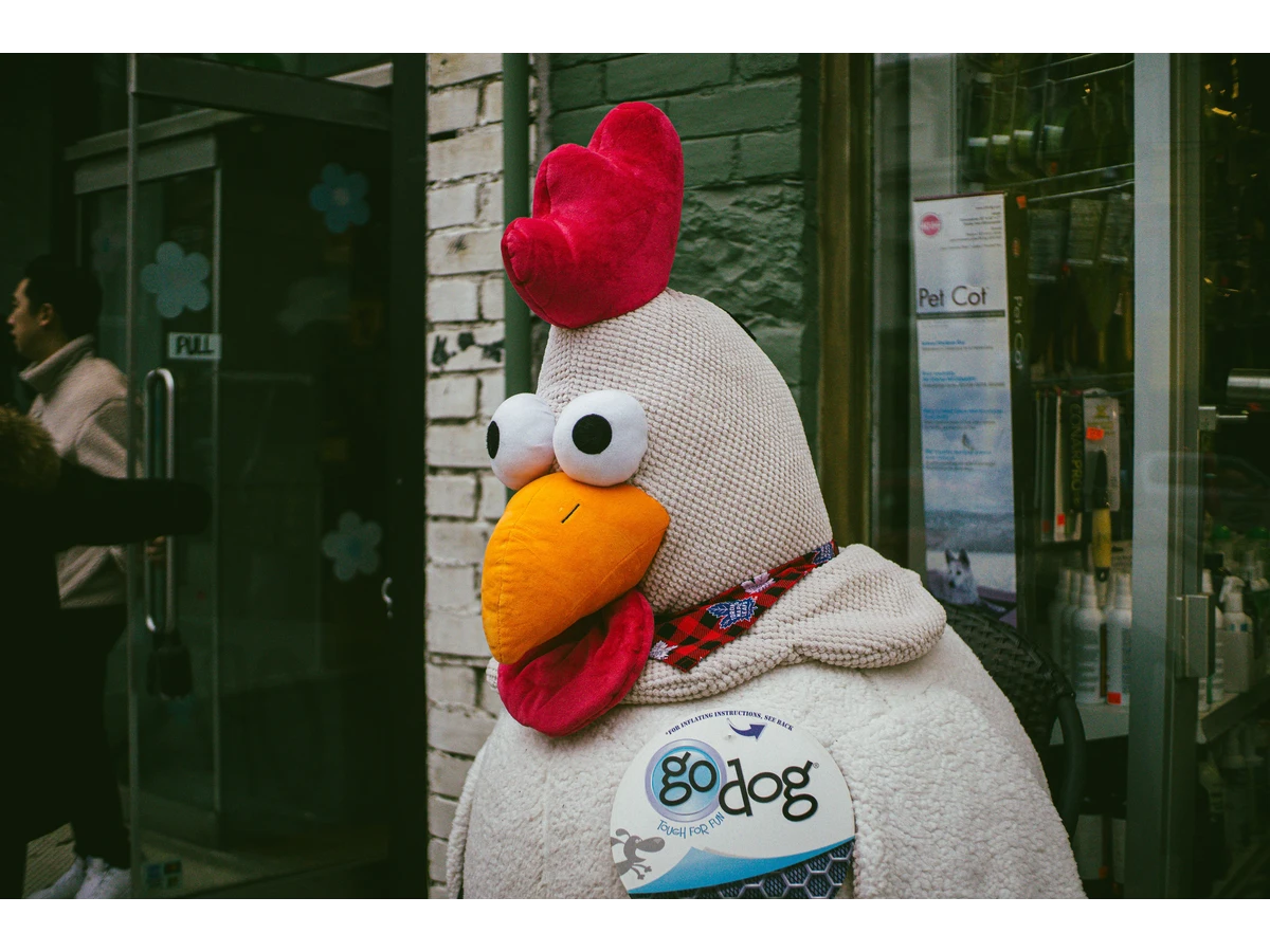 A person wearing a large chicken mascot costume stands outside a storefront, illustrating the type of promotional work associated with some celebrity jobs before fame.