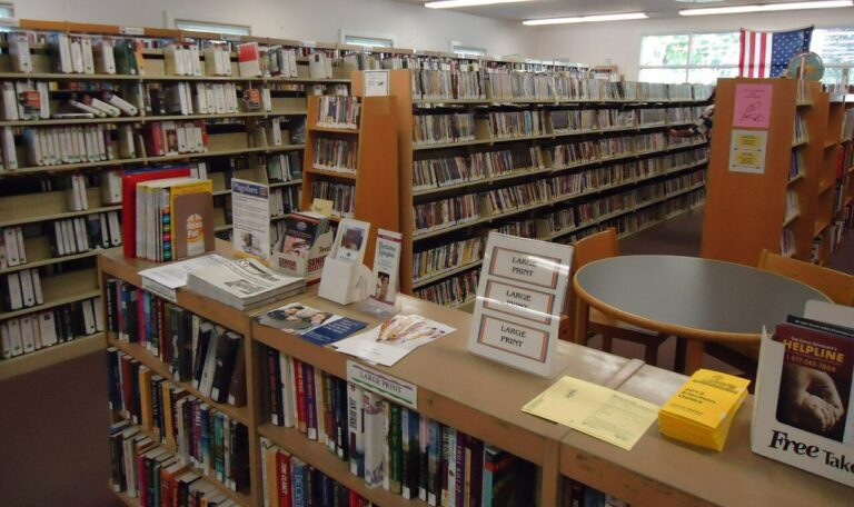 Ascendance of a Bookworm Part 4 anime: library shelves full of books