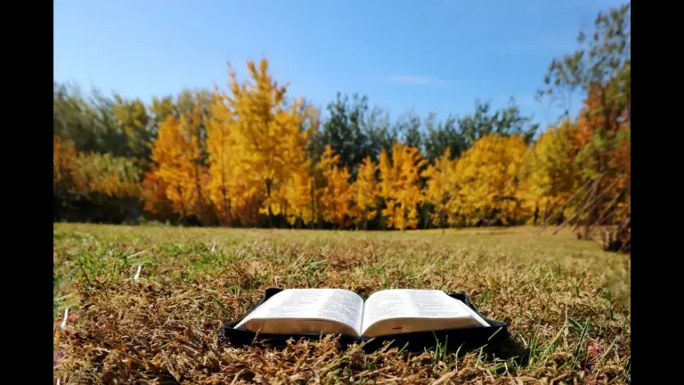 In Wednesday's daily devotional, an open Bible sits inside a field with trees full of fall foliage.