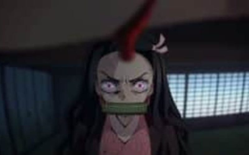 DemonSlayer