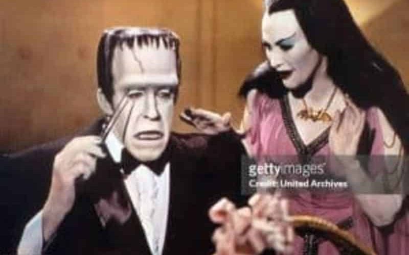 The Munsters, Fred Gwynne, Yvonne De Carlo, Al Lewis, Butch Patrick, Beverly Owens, Pat Priest, 1960s TV Shows