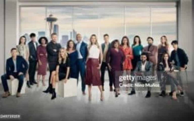 Hospital Dramas, Grey's Anatomy, ABC, Hospital Show