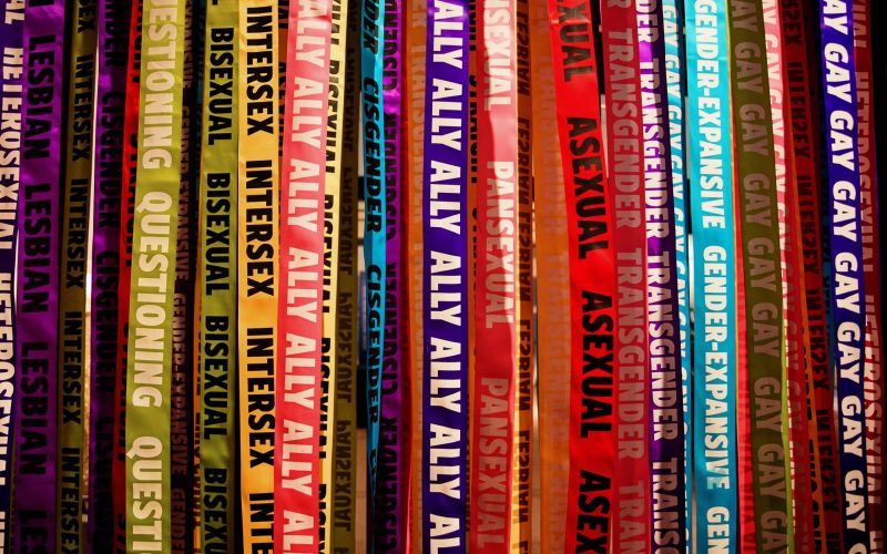 Help Fight LGBTQ+ Book Bans with Queer Liberation Library