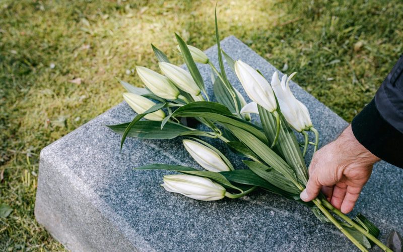 James Earl Jones death at 93 fans react online